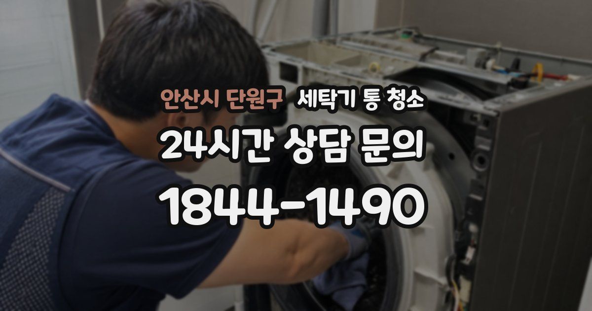안산시 단원구 세탁기 통 청소