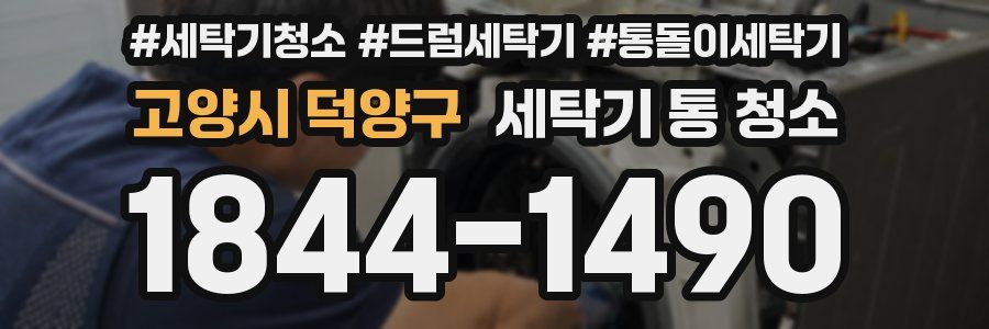 고양시 덕양구 세탁기 통 청소