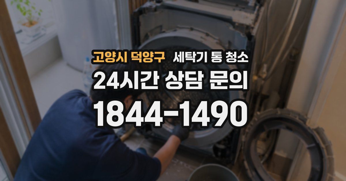 고양시 덕양구 세탁기 통 청소