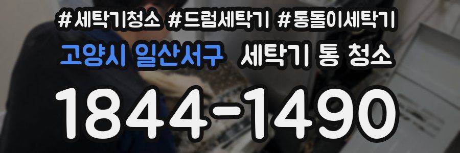 고양시 일산서구 세탁기 통 청소