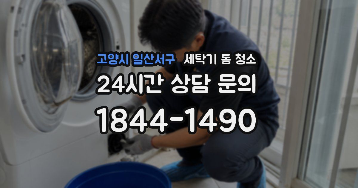 고양시 일산서구 세탁기 통 청소
