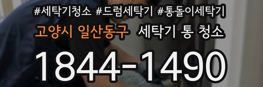 고양시 일산동구 세탁기 통 청소