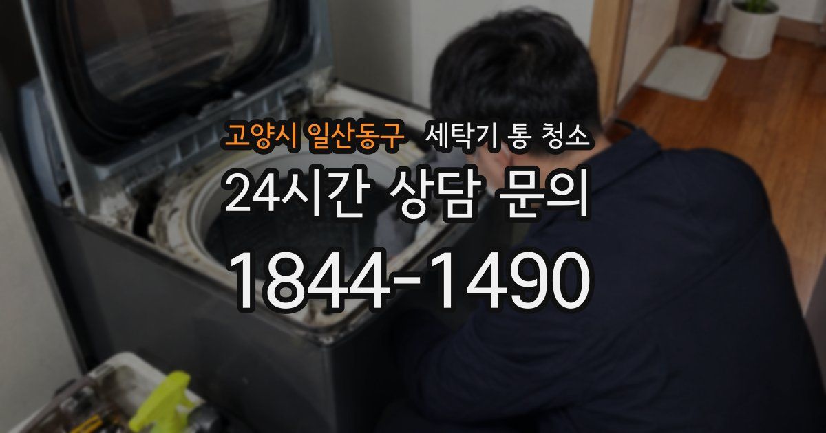고양시 일산동구 세탁기 통 청소