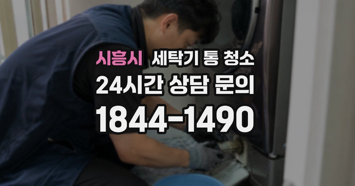 시흥시 세탁기 통 청소