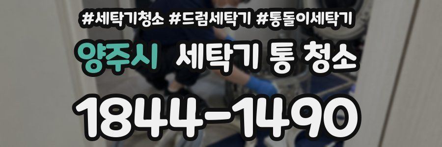 양주시 세탁기 통 청소