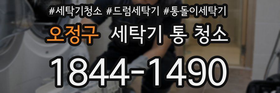 오정구 세탁기 통 청소