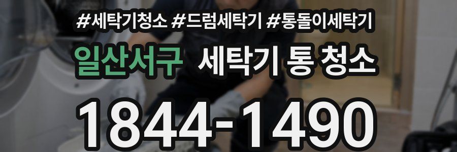 일산서구 세탁기 통 청소