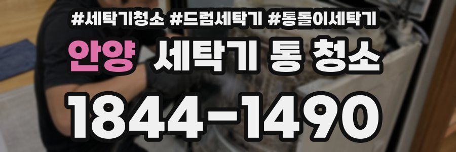 안양 세탁기 통 청소