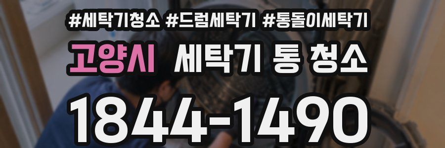 고양시 세탁기 통 청소