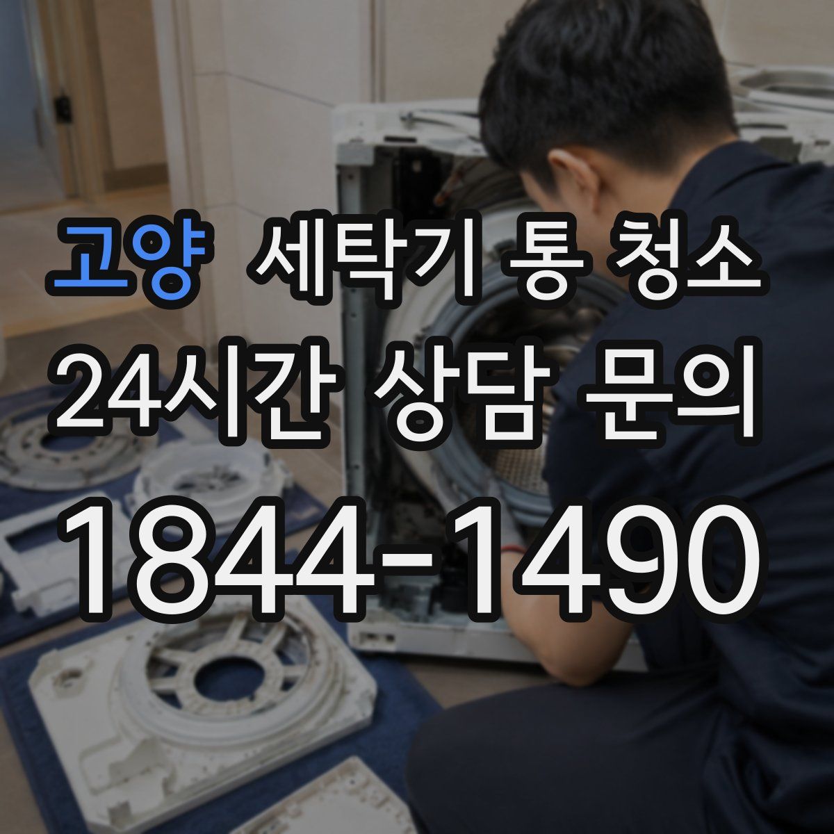 고양 세탁기 통 청소