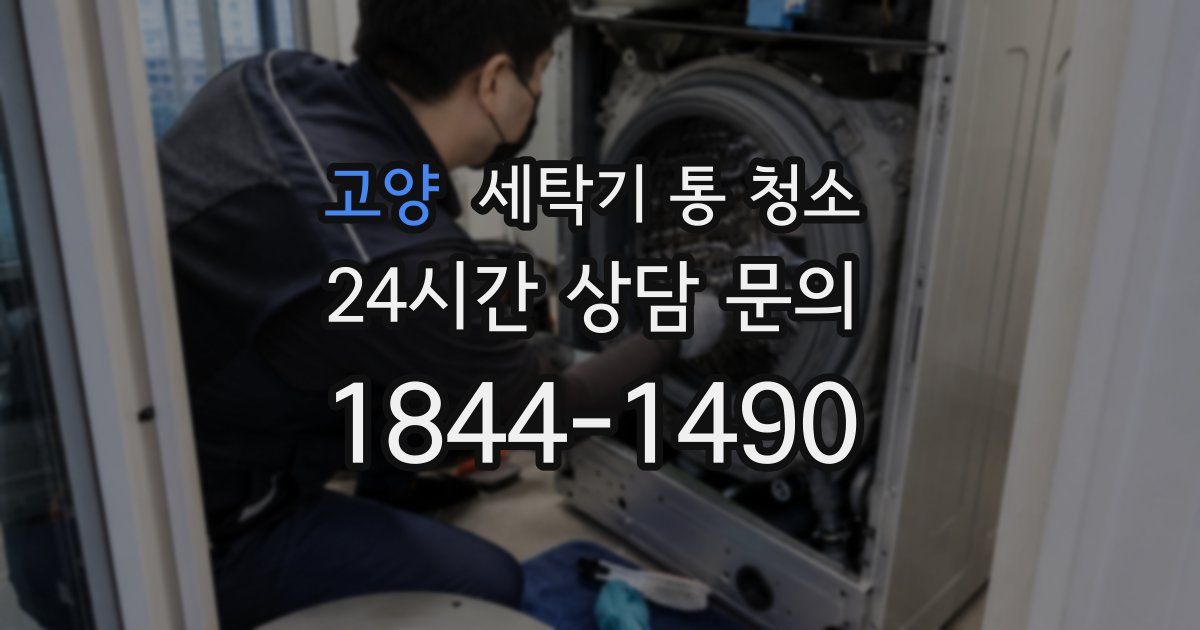 고양 세탁기 통 청소