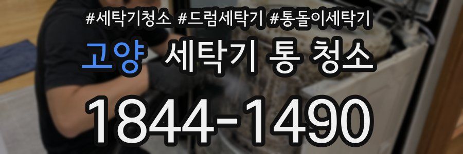 고양 세탁기 통 청소