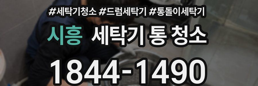 시흥 세탁기 통 청소