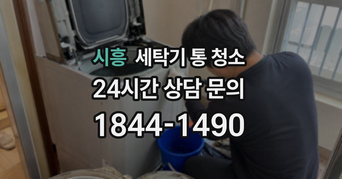 시흥 세탁기 통 청소