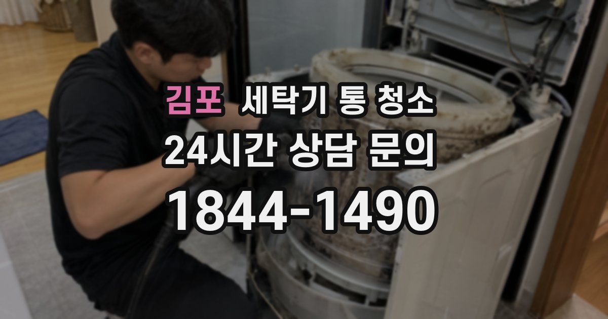 김포 세탁기 통 청소