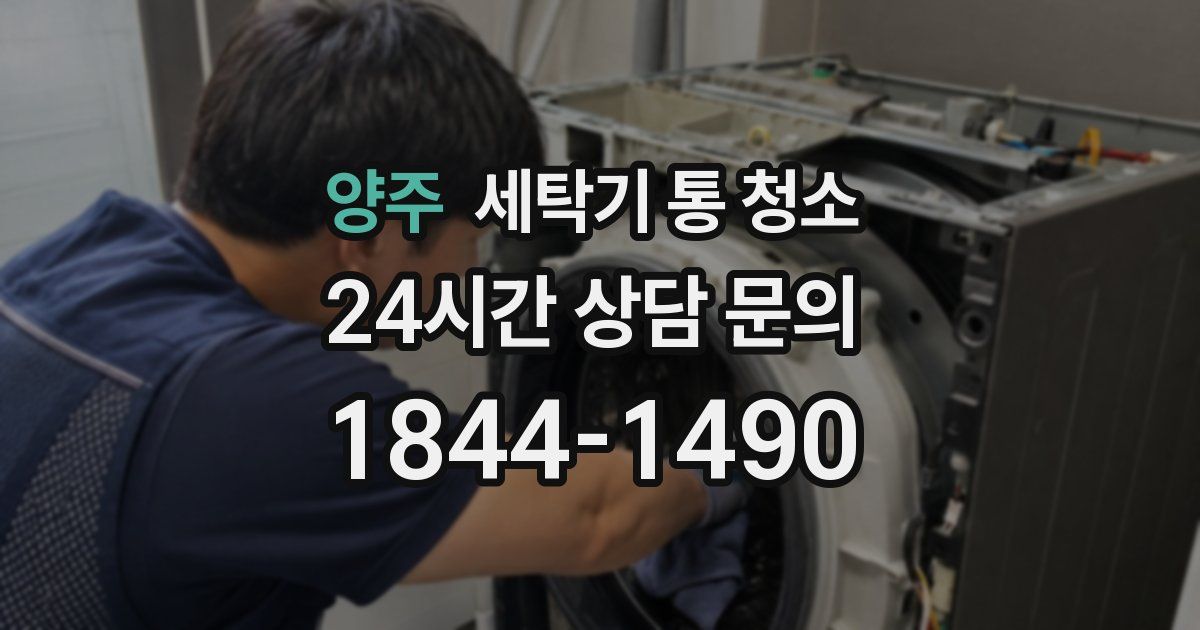 양주 세탁기 통 청소