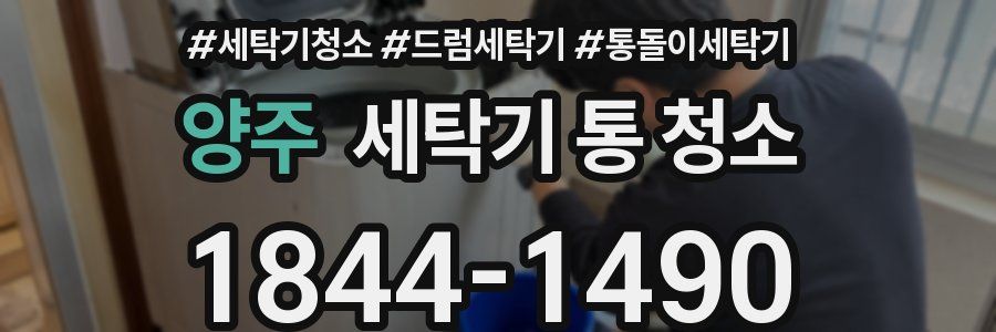 양주 세탁기 통 청소