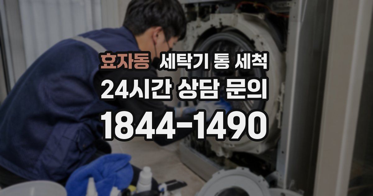 효자동 세탁기 통 세척