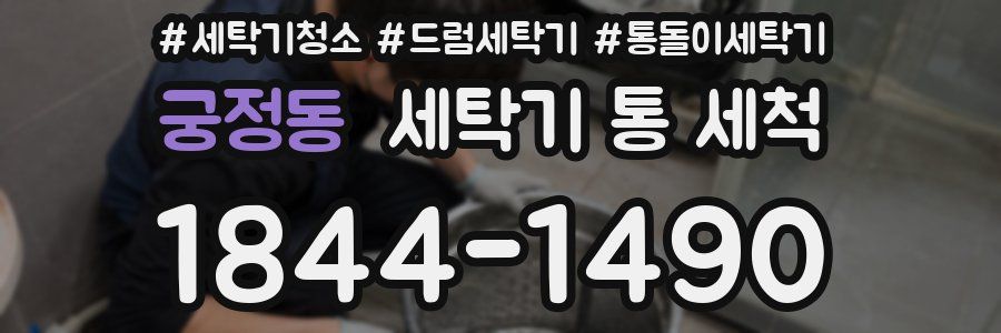 궁정동 세탁기 통 세척