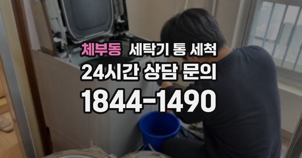 체부동 세탁기 통 세척