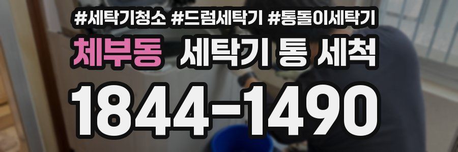 체부동 세탁기 통 세척