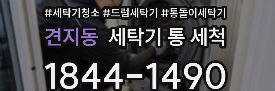 견지동 세탁기 통 세척
