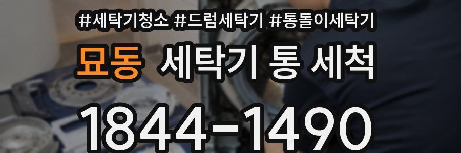 묘동 세탁기 통 세척