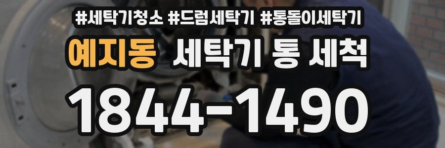 예지동 세탁기 통 세척