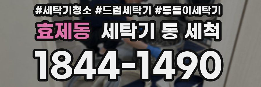 효제동 세탁기 통 세척