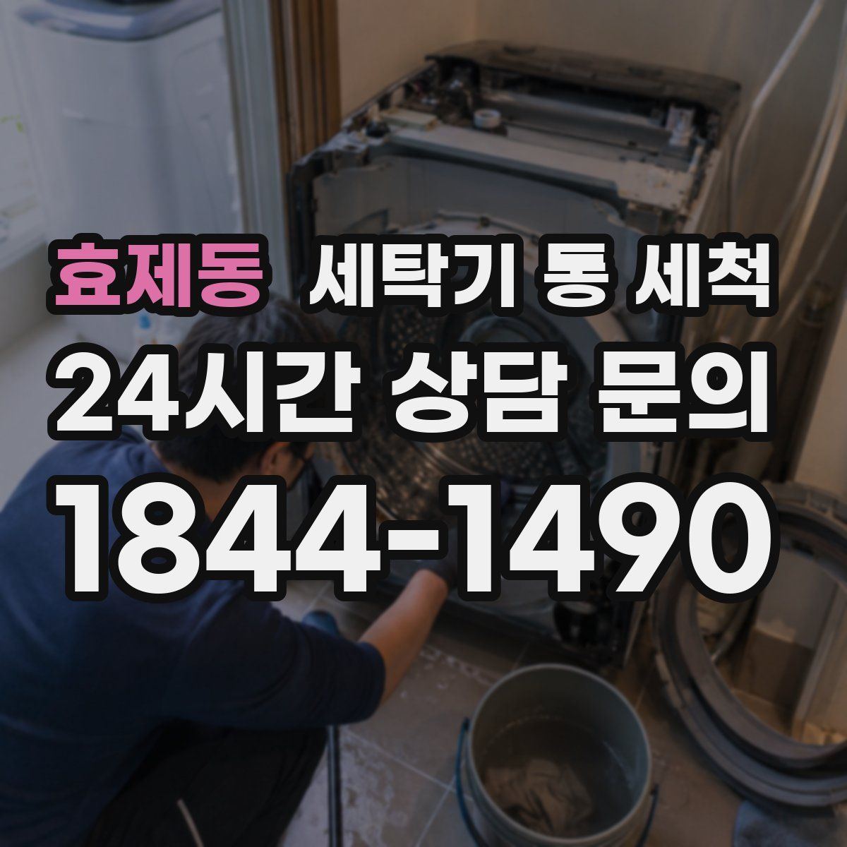 효제동 세탁기 통 세척