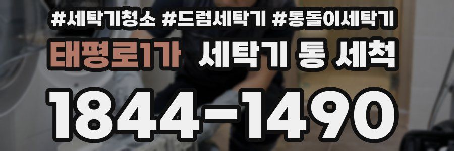 태평로1가 세탁기 통 세척