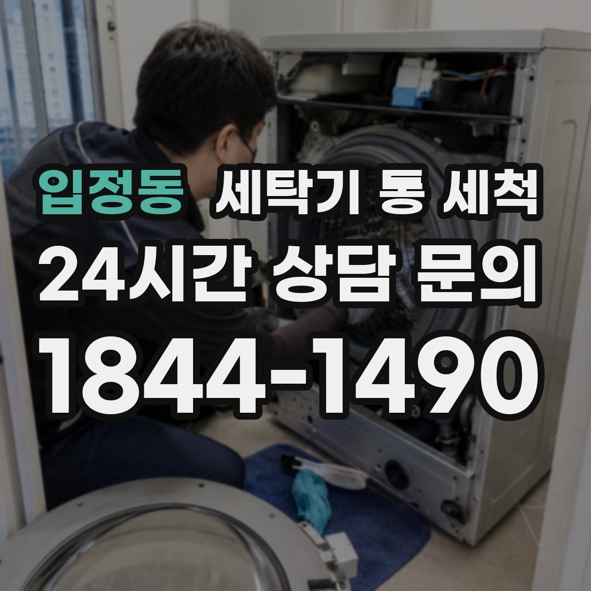 입정동 세탁기 통 세척