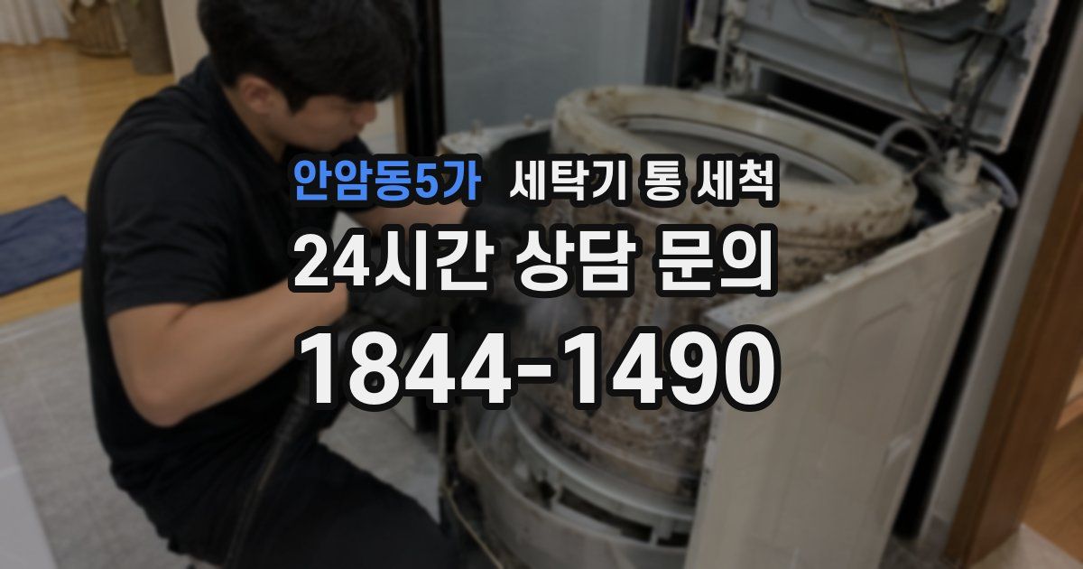 안암동5가 세탁기 통 세척