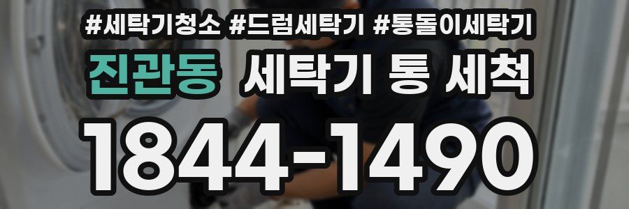진관동 세탁기 통 세척