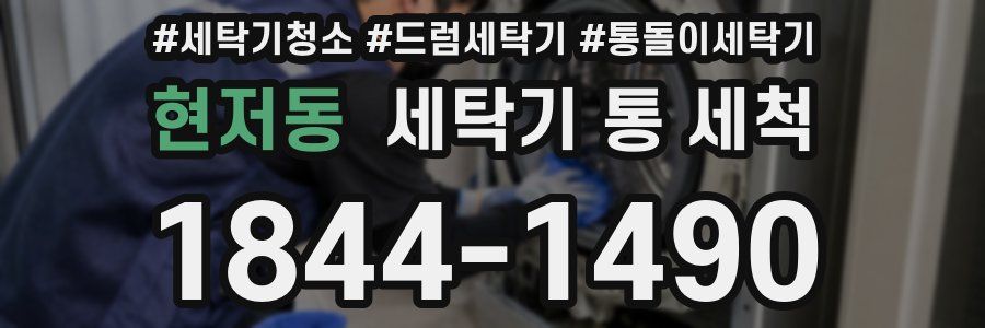 현저동 세탁기 통 세척