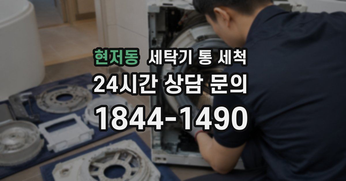 현저동 세탁기 통 세척