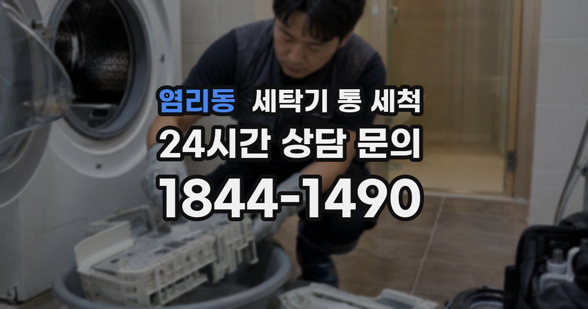 염리동 세탁기 통 세척