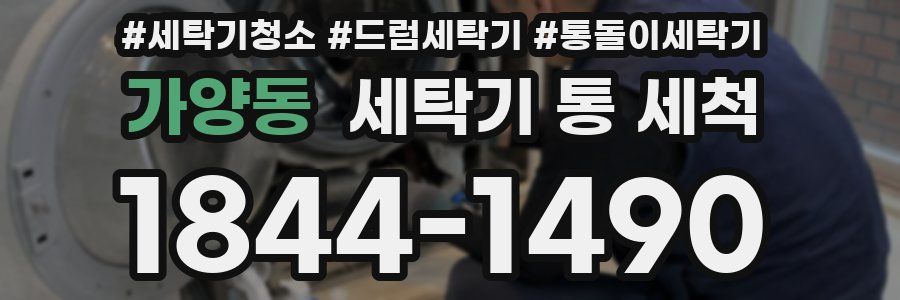 가양동 세탁기 통 세척