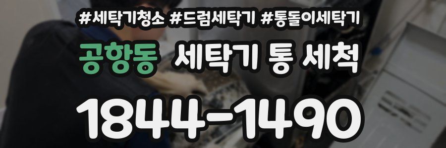 공항동 세탁기 통 세척