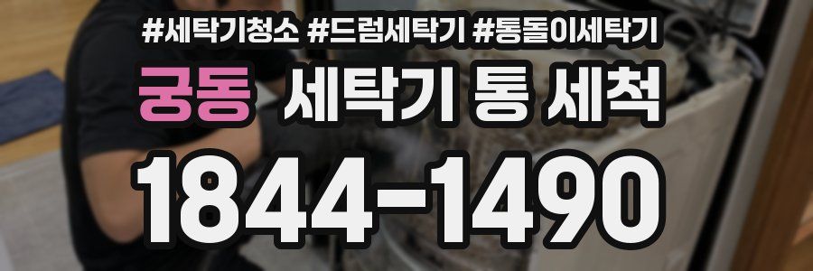 궁동 세탁기 통 세척