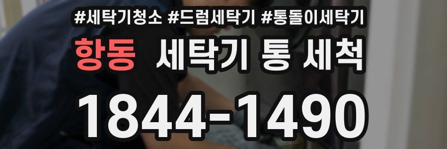 항동 세탁기 통 세척