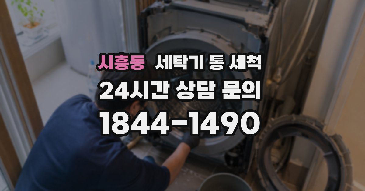시흥동 세탁기 통 세척