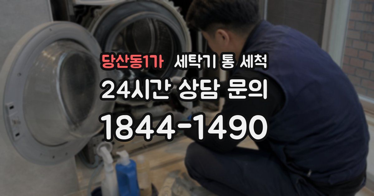 당산동1가 세탁기 통 세척