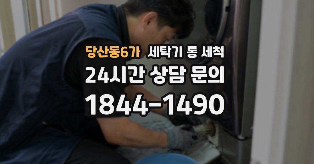 당산동6가 세탁기 통 세척