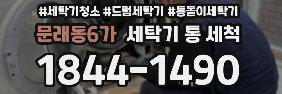 문래동6가 세탁기 통 세척