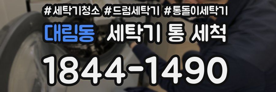 대림동 세탁기 통 세척