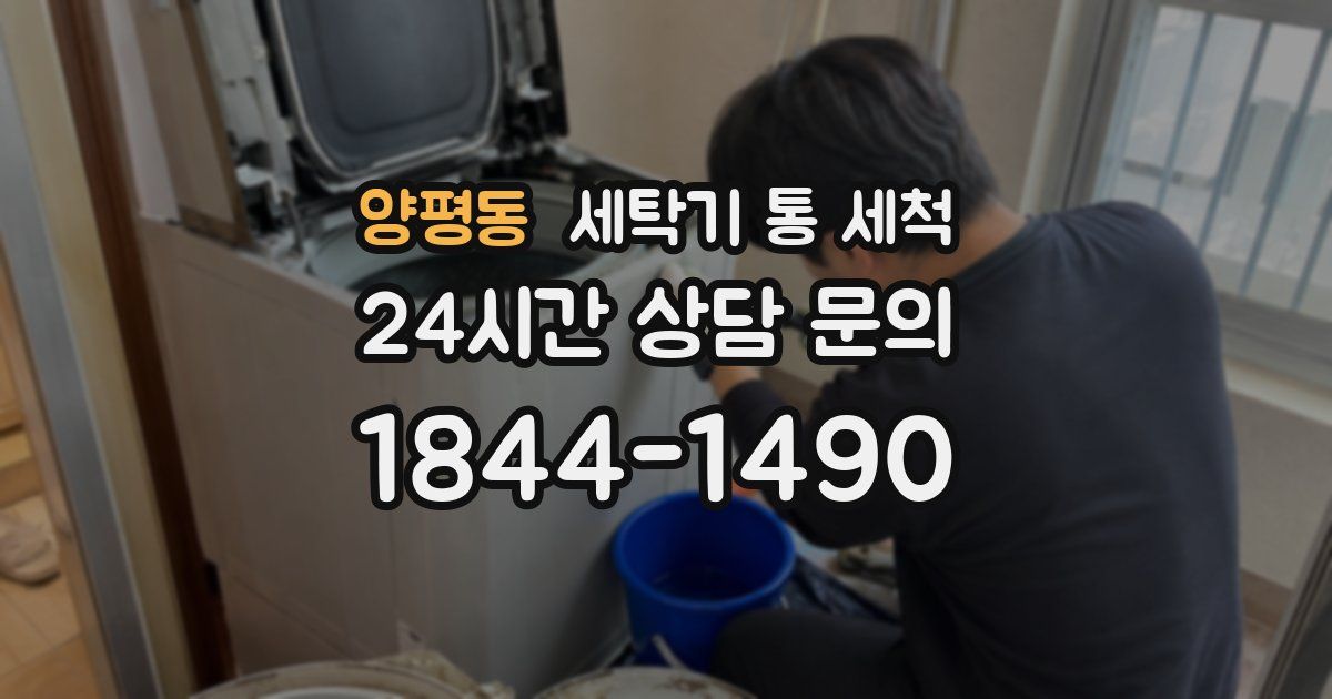 양평동 세탁기 통 세척