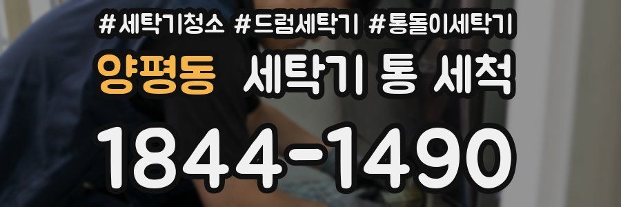 양평동 세탁기 통 세척