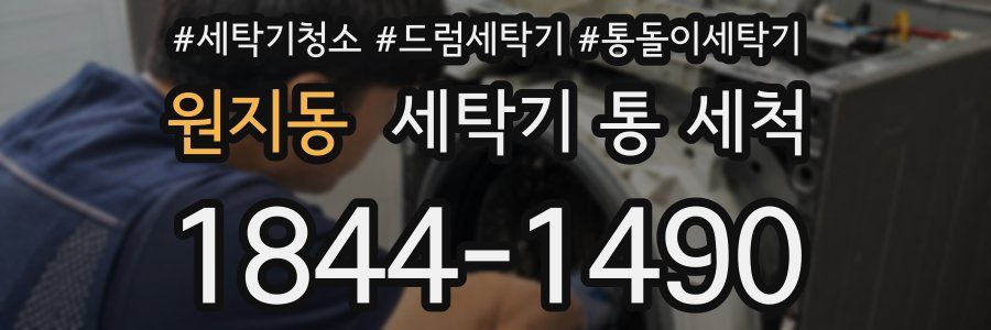 원지동 세탁기 통 세척