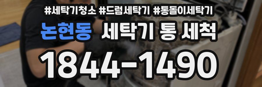 논현동 세탁기 통 세척